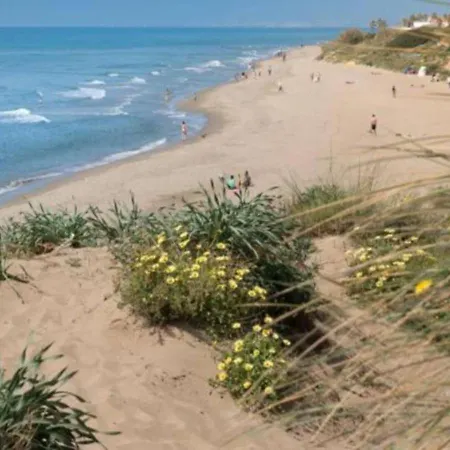 Chambao Cabopino Marbella