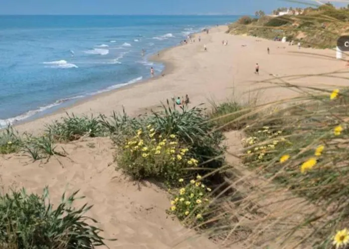 Chambao Cabopino マルベーリャ