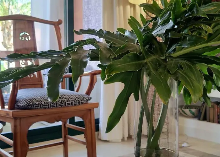 Chambao Cabopino アパート